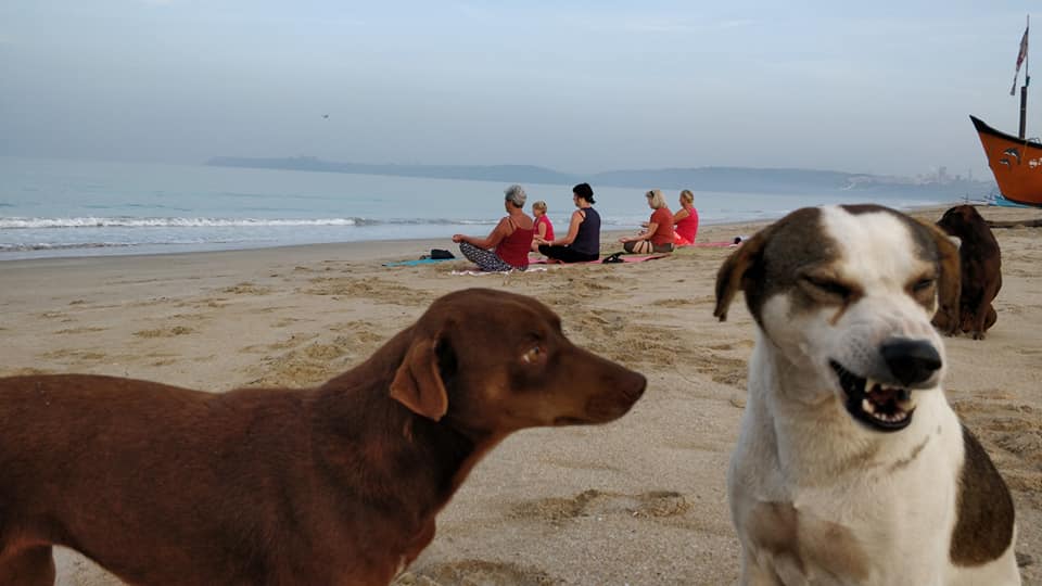 Joogakool Lakshmi